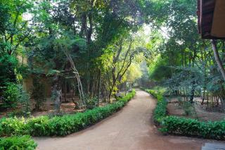 Club Mahindra Bandhavgarh Meadows - 2