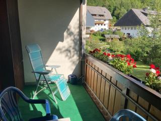 Gemütliche Ferienwohnung in Sankt Blasien - St. Blasien - 2