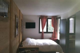 Charmant appartement, centre ville, vue Mont-Blanc - Chamonix-Mont-Blanc - 2