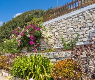 The Rock & The Lemon Tree - Sitia - 1