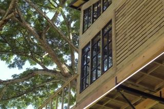 Casa en el Arbol - 5