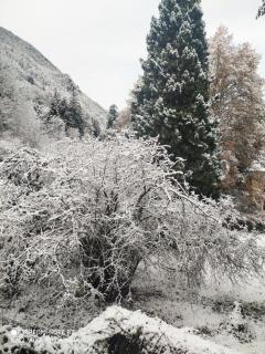 Clos Bois Joli - Brides-les-Bains - 1