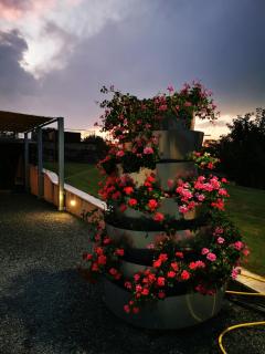Villa Borsacchio - Roseto degli Abruzzi - 5
