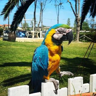 Locanda del Tavolo Matto - 1