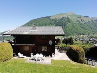 Chalet 8 pers. avec terrasse 69571 - Morzine - 0