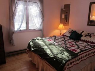 Cozy Pocono Cottage near Jack Frost Jim Thorpe - Albrightsville - 2