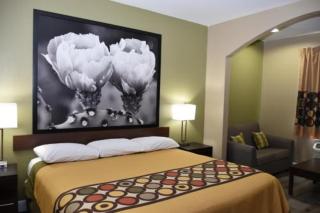 Econo Lodge Beaumont I-10 South - 5