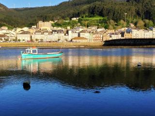 Indiano 2K - Viveiro - 1
