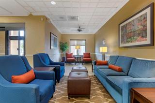 Comfort Suites Savannah North - 8