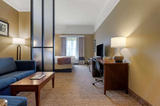 Comfort Suites Savannah North - 1