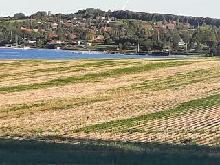 Feriehus Nord på Rødkærgård - 1