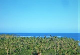 Impeccable 1 Bedroom 4 unit Apartment in Savusavu - 1