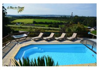 Le Mas des Oliviers - 7