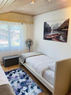 S&P Mountain View Apartment 2 - Wilderswil - 3