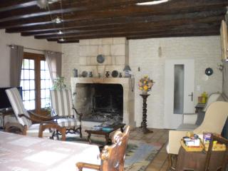 Le Moulin Garnier - Vernou-sur-Brenne - 1