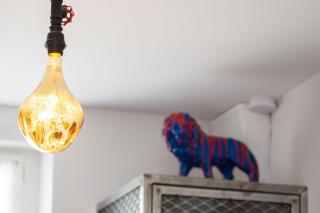 URBAN JUNGLE SPA - 4