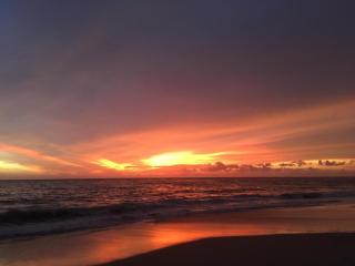 Lemon Dew Beach House, Alleppey Beach - Alleppey - 6