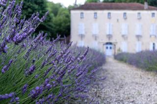 La Mouline - 8