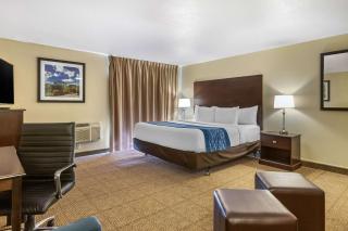 Comfort Inn Grand Rapids Airport - 1