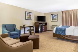 Comfort Inn Grand Rapids Airport - 2