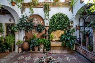 Apartamento con patio cordobés en San Basilio & Parking - 7