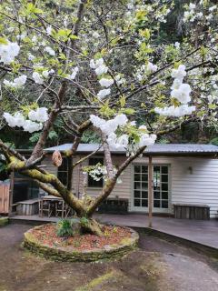 Jacomb's Cottage and Studio - 2