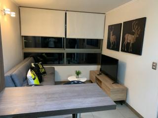 Acogedor Departamento Santiago - 4