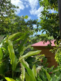 Banana Cottage Ecolodge & Spa - 1