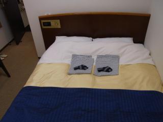 Hotel New Ueno - Tokyo - 3