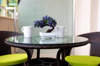 Maria Palace Hotel - All Inclusive - Slantchev Briag - 9