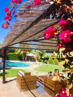 B&B Villa Pinos Málaga - Alhaurín de la Torre - 1