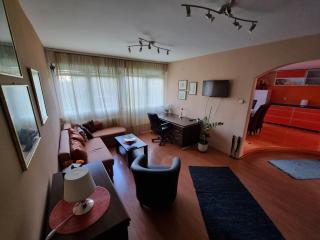 Large, Spacious Apartment Voždovac - 7