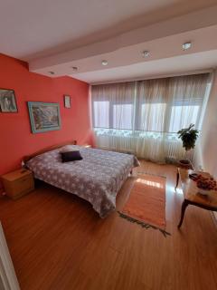 Apartment Deluxe Voždovac - Belgrado - 2