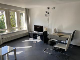 CENTRO Appartamento Ascona - Ascona - 8