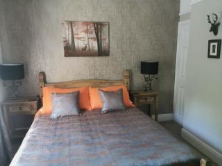 Dolweunydd Bed and Breakfast - 4