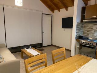 Departamento Curruhuinca - Deptosxlosandes - San Martín de los Andes - 5