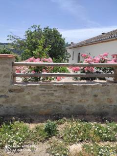 cortijo la laguna - Ronda - 1