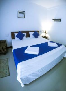 Mirissa Blue Whale Holiday Hotel - Mirissa - 1