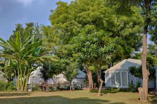 Ranthambore Tiger Resort - Sawāi Mādhopur - 4