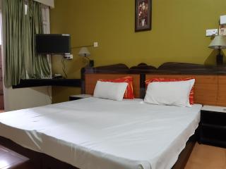 Palm Grove 1 Bhk Apartment at Candolim Beach with free Wifi - Candolim - 0