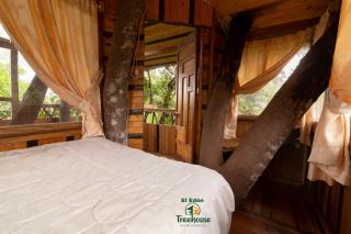 Eden Treehouse - 3