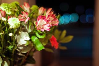 Paliria Hotel - Chalkida - 7