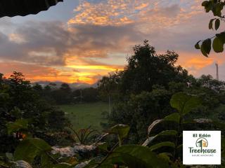 Eden Treehouse - 6