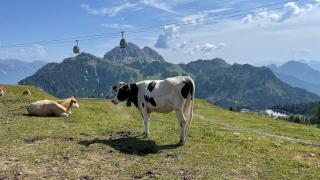 One-Of-A-Kind NASSFELD APARTMENTS - Sonnenalpe Nassfeld - 4