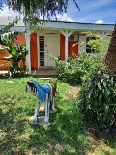 Colibri Garden - Baie-Mahault - 7