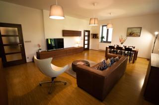 Black Field Apartment - Brno - 9