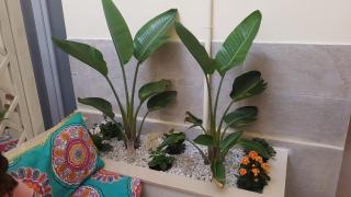 Dimora Fantasia Charme B&B - 1