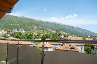 Central Apartment Mountain View - Karlovo - 8
