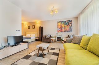 Pine Woods Studio D113 in Silver Mountain - Poiana Brasov - 0