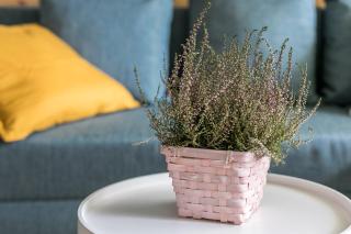 Rent like home - Żeromskiego 10 - Zakopane - 1